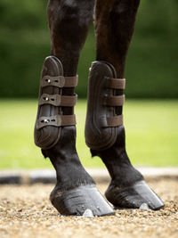 LeMieux Capella Leren Beenbeschermers Beenbeschermers - Maddelin Equestrian LeMieux
