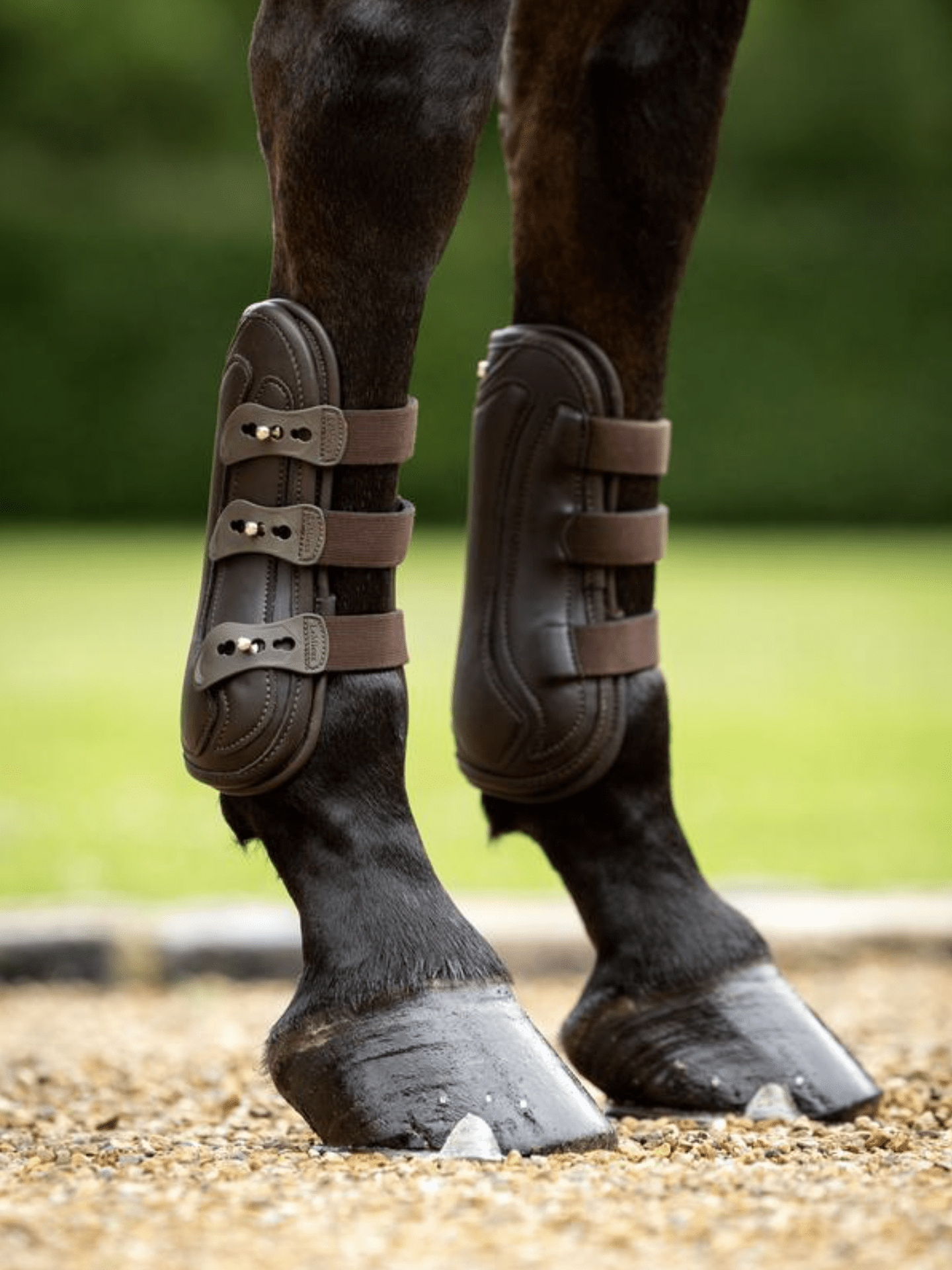 LeMieux Capella Leren Beenbeschermers Beenbeschermers - Maddelin Equestrian LeMieux
