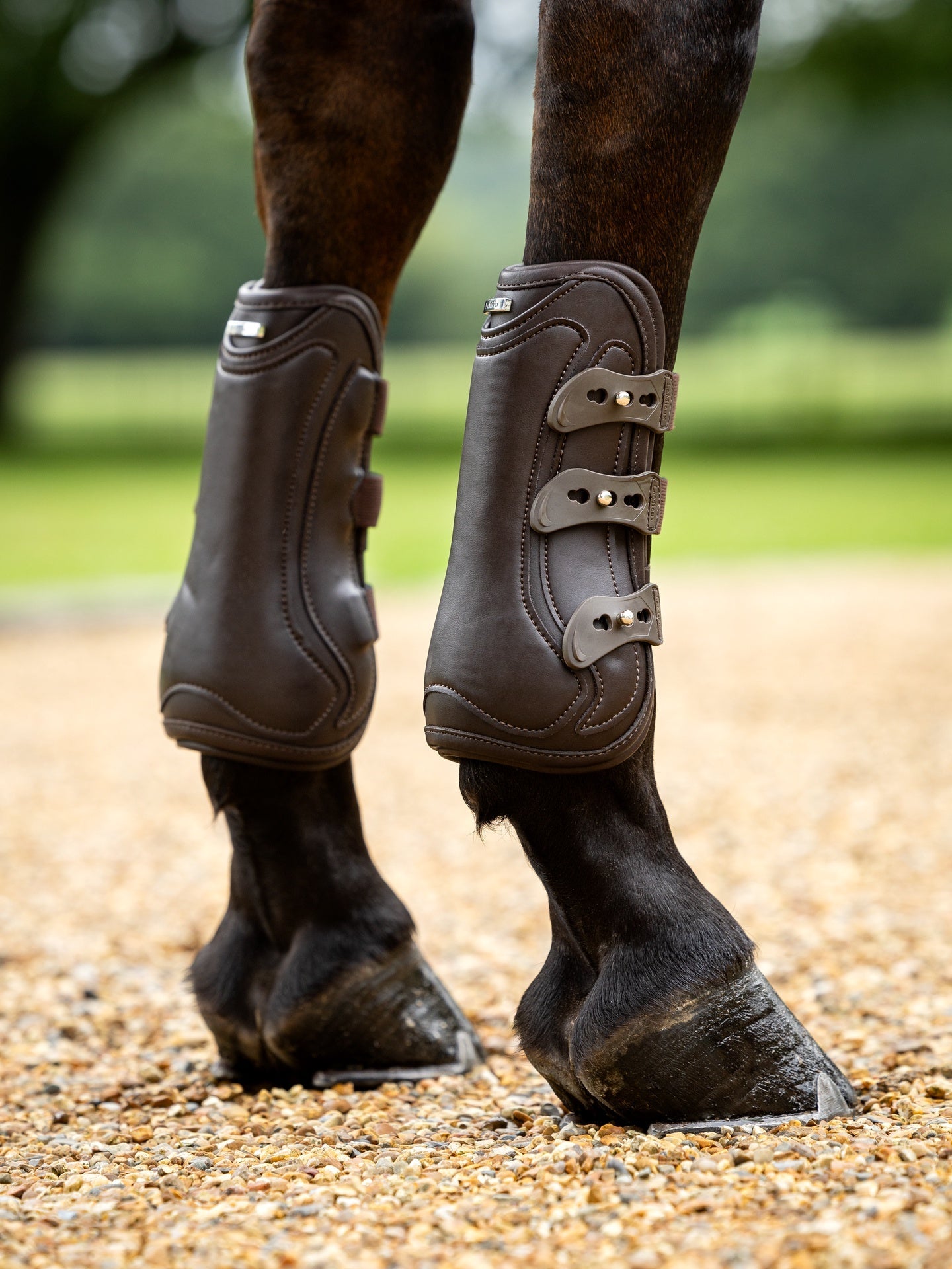 LeMieux Capella Leren Beenbeschermers Beenbeschermers - Maddelin Equestrian LeMieux