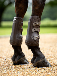 LeMieux Capella Leren Beenbeschermers Beenbeschermers - Maddelin Equestrian LeMieux