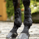 LeMieux Capella Leren Beenbeschermers Beenbeschermers - Maddelin Equestrian LeMieux
