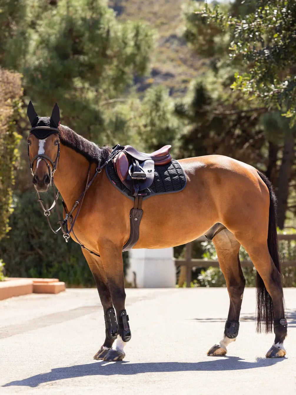 LeMieux Carbon Mesh Close Contact Zadeldek Zadeldoeken - Maddelin Equestrian LeMieux