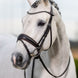 LeMieux Classic Dressage Hoofdstel Trenshoofdstellen - Maddelin Equestrian LeMieux