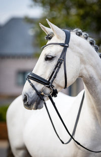 LeMieux Classic Dressage Hoofdstel Trenshoofdstellen - Maddelin Equestrian LeMieux