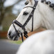 LeMieux Classic Dressage Hoofdstel Trenshoofdstellen - Maddelin Equestrian LeMieux