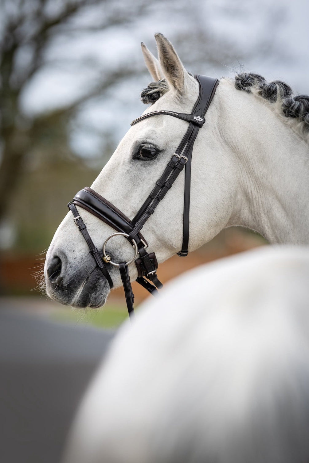 LeMieux Classic Dressage Hoofdstel Trenshoofdstellen - Maddelin Equestrian LeMieux