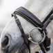 LeMieux Classic Dressage Hoofdstel Trenshoofdstellen - Maddelin Equestrian LeMieux