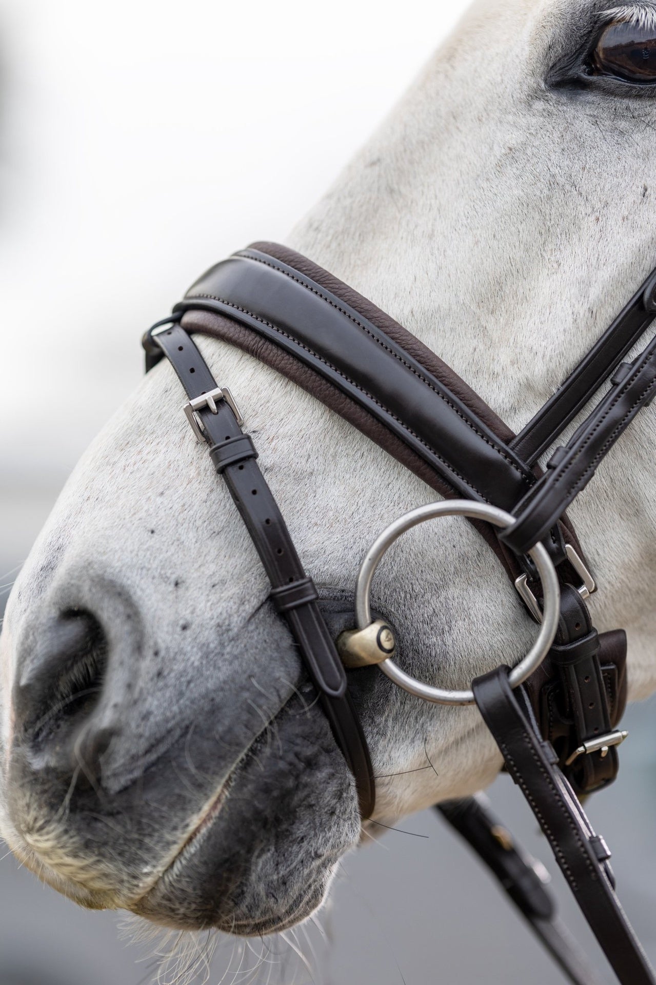 LeMieux Classic Dressage Hoofdstel Trenshoofdstellen - Maddelin Equestrian LeMieux