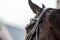LeMieux Classic Dressage Hoofdstel Trenshoofdstellen - Maddelin Equestrian LeMieux