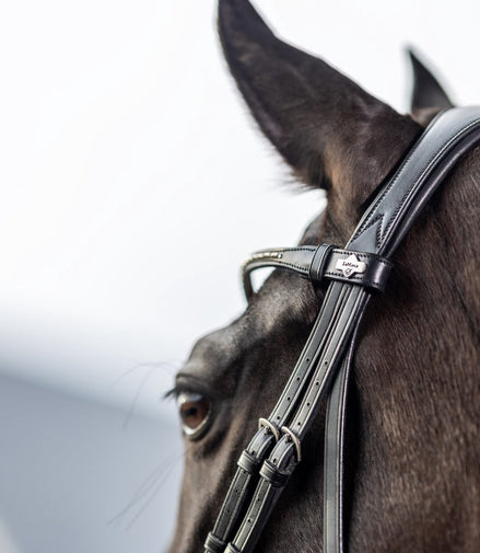 LeMieux Classic Dressage Hoofdstel Trenshoofdstellen - Maddelin Equestrian LeMieux