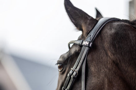 LeMieux Classic Dressage Hoofdstel Trenshoofdstellen - Maddelin Equestrian LeMieux