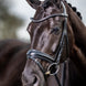 LeMieux Classic Dressage Hoofdstel Trenshoofdstellen - Maddelin Equestrian LeMieux