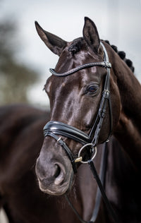 LeMieux Classic Dressage Hoofdstel Trenshoofdstellen - Maddelin Equestrian LeMieux
