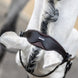 LeMieux Classic Dressage Hoofdstel Trenshoofdstellen - Maddelin Equestrian LeMieux