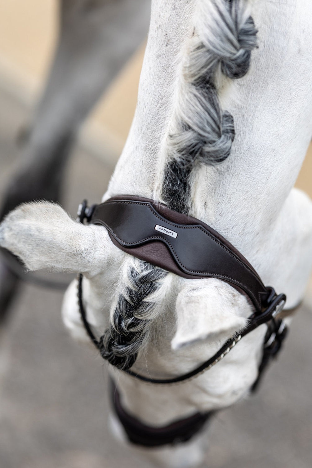LeMieux Classic Dressage Hoofdstel Trenshoofdstellen - Maddelin Equestrian LeMieux
