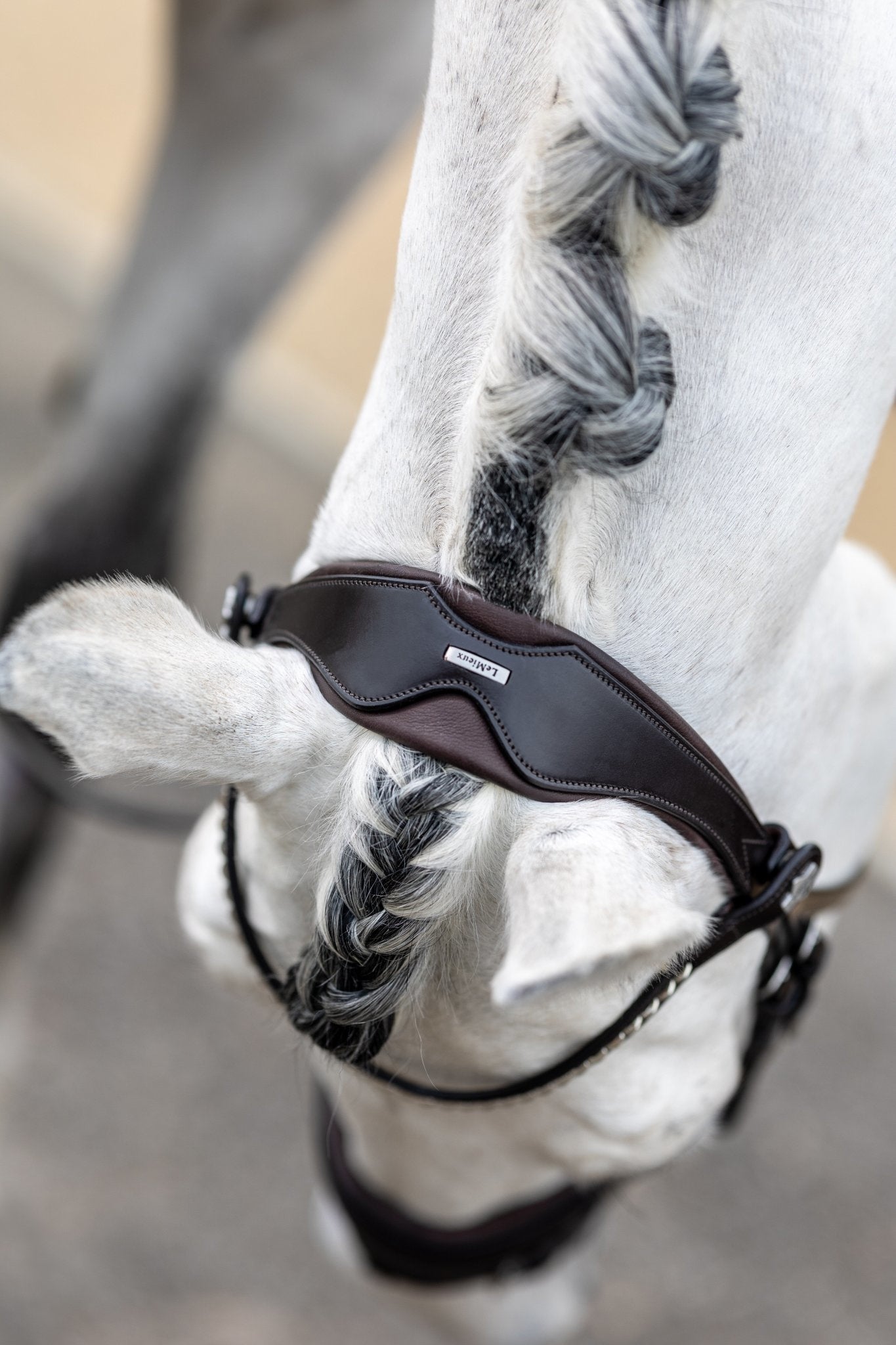 LeMieux Classic Dressage Hoofdstel Trenshoofdstellen - Maddelin Equestrian LeMieux