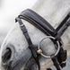 LeMieux Classic Dressage Hoofdstel Trenshoofdstellen - Maddelin Equestrian LeMieux