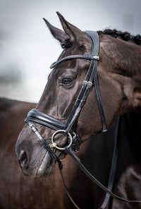 LeMieux Classic Dressage Hoofdstel Trenshoofdstellen - Maddelin Equestrian LeMieux