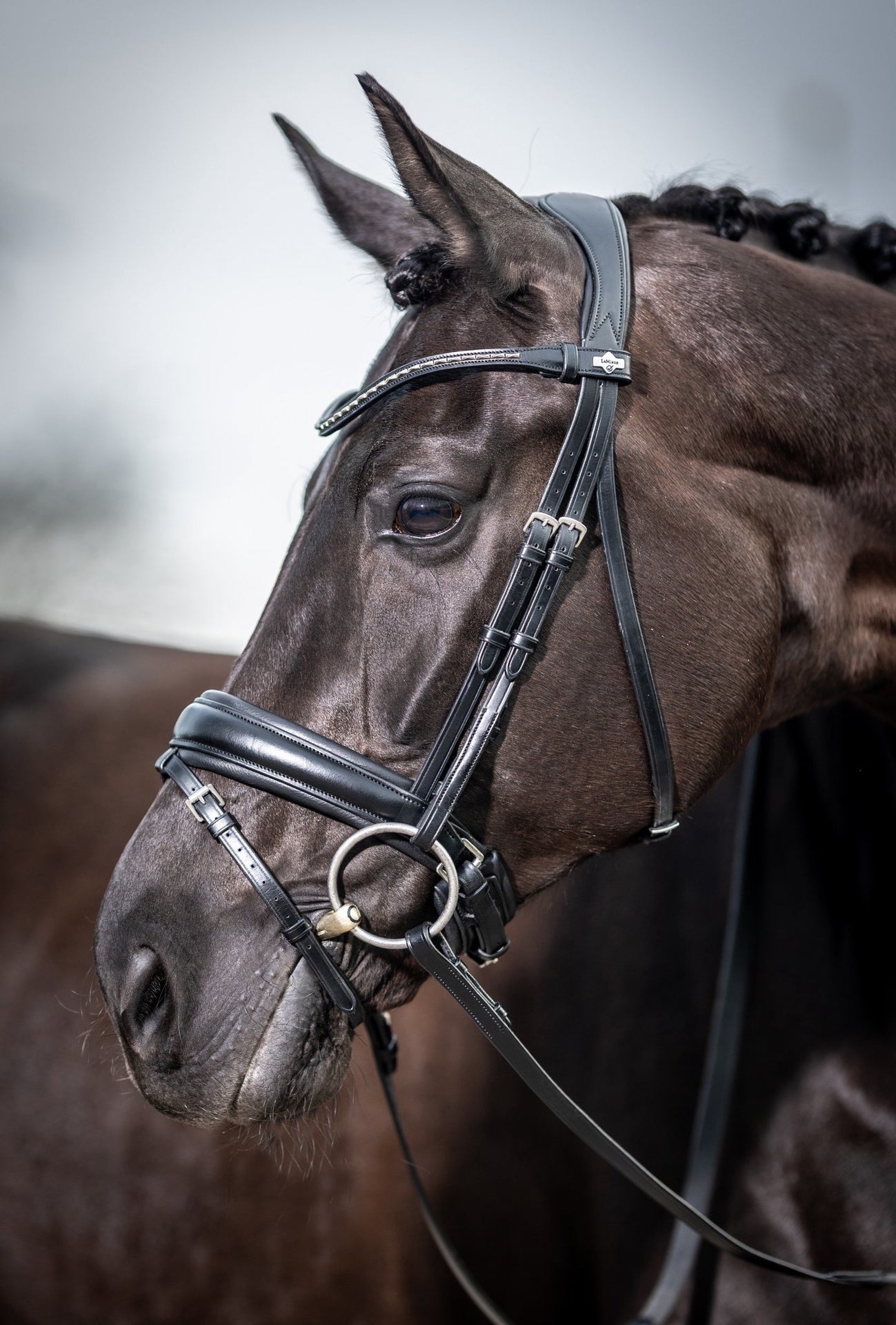 LeMieux Classic Dressage Hoofdstel Trenshoofdstellen - Maddelin Equestrian LeMieux