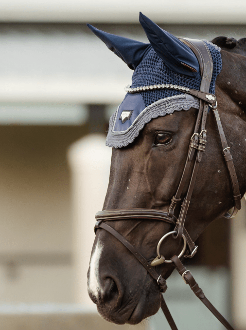 LeMieux Classic Frontriem Twilight Frontriemen - Maddelin Equestrian LeMieux