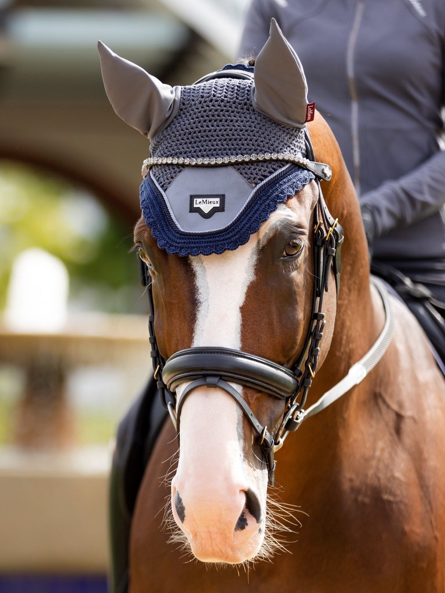 LeMieux Classic Frontriem Twilight Frontriemen - Maddelin Equestrian LeMieux