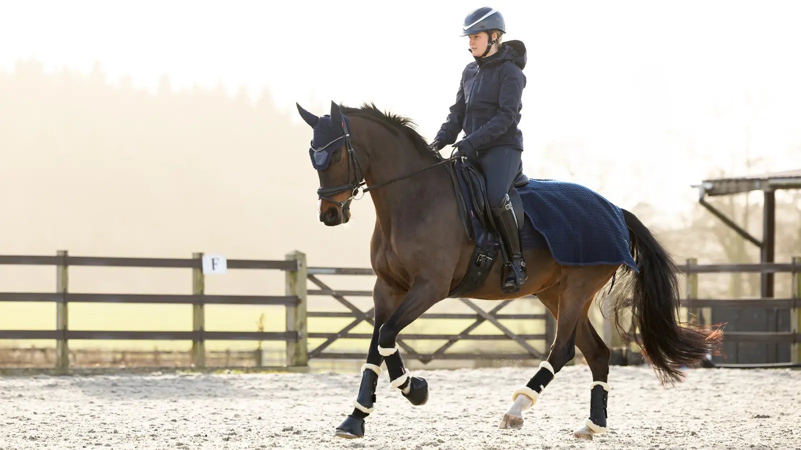 LeMieux Clima - Tek Stapdeken Quarter Navy Stapmolen en uitrijdekens - Maddelin Equestrian LeMieux
