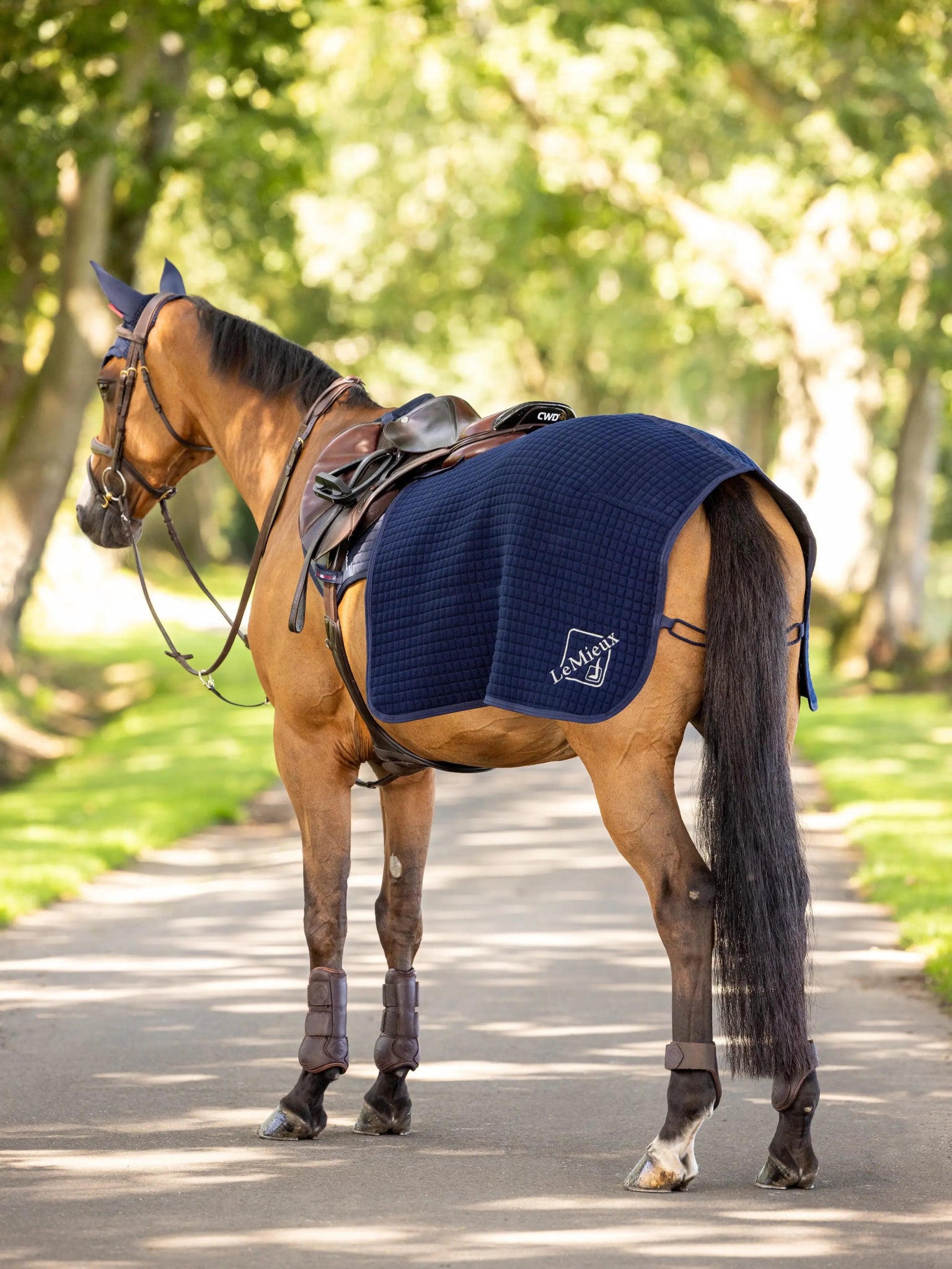 LeMieux Clima - Tek Stapdeken Quarter Navy Stapmolen en uitrijdekens - Maddelin Equestrian LeMieux