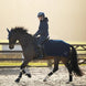 LeMieux Clima - Tek Stapdeken Quarter Navy Stapmolen en uitrijdekens - Maddelin Equestrian LeMieux