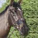 LeMieux Comfort Shield Neusnetje Toebehoren hoofdstellen - Maddelin Equestrian LeMieux
