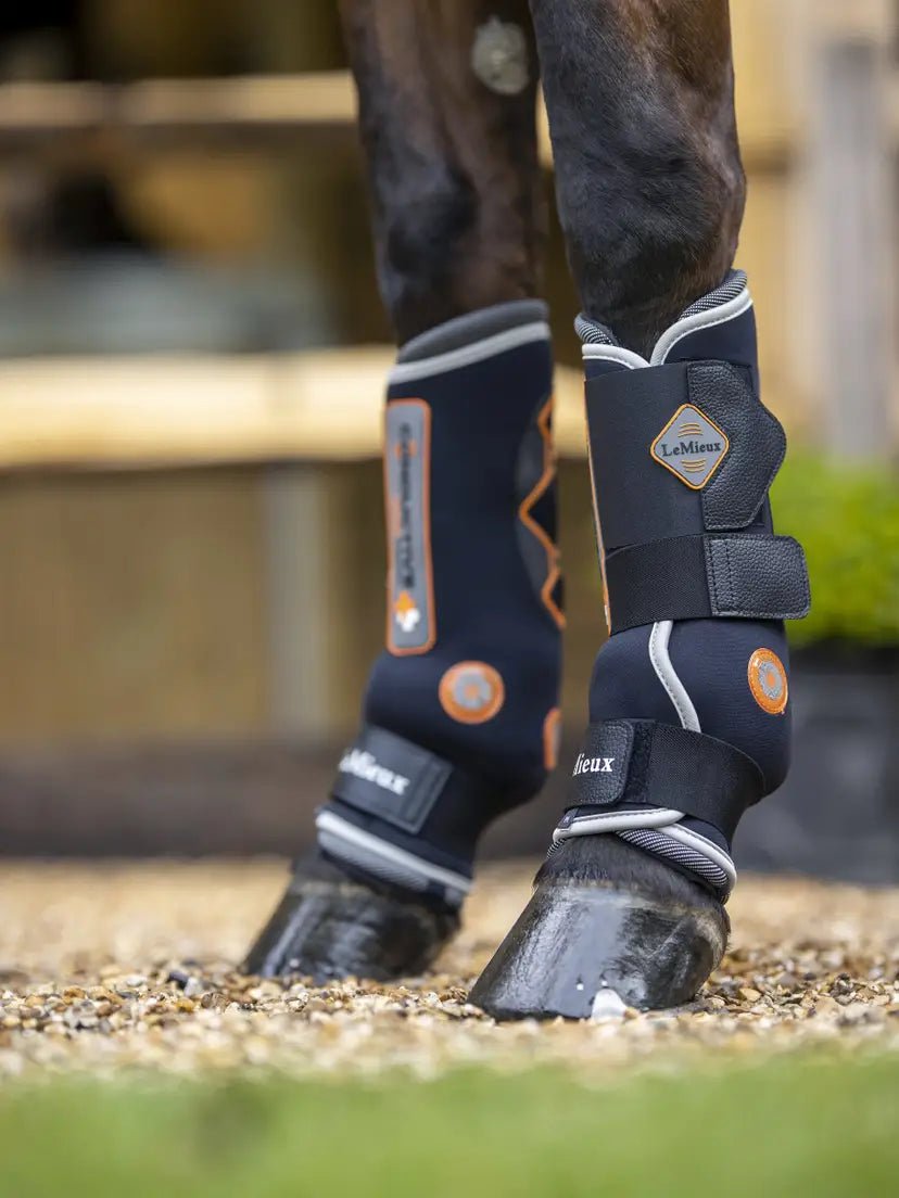 LeMieux Conductive Magno Magnetische Beenbeschermers Transport, therapeutisch en stalbeschermers - Maddelin Equestrian