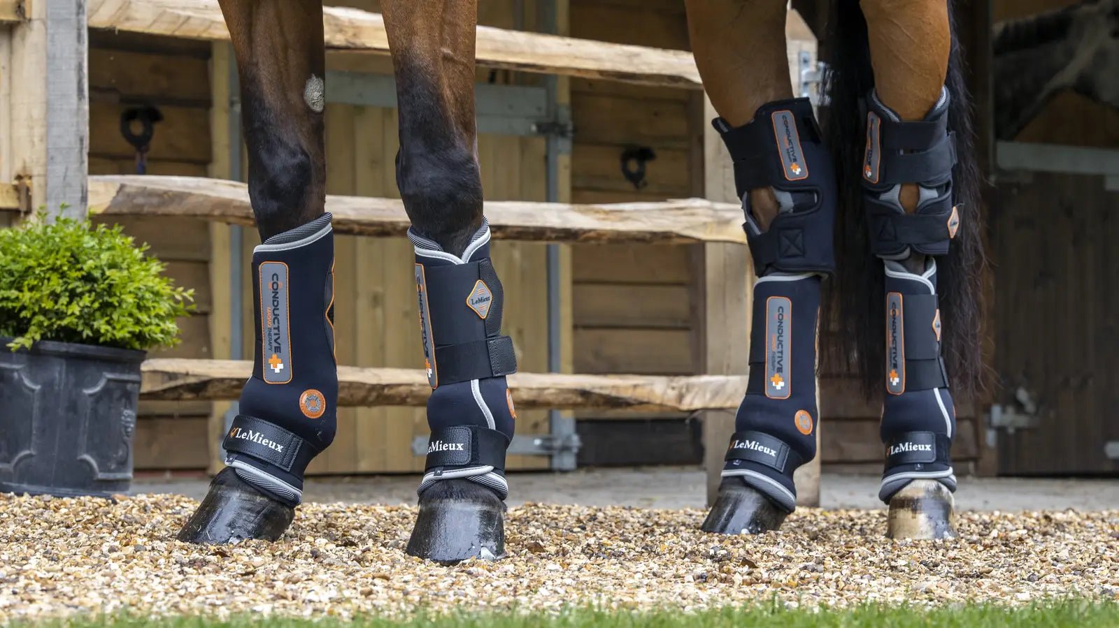LeMieux Conductive Magno Magnetische Beenbeschermers Transport, therapeutisch en stalbeschermers - Maddelin Equestrian LeMieux