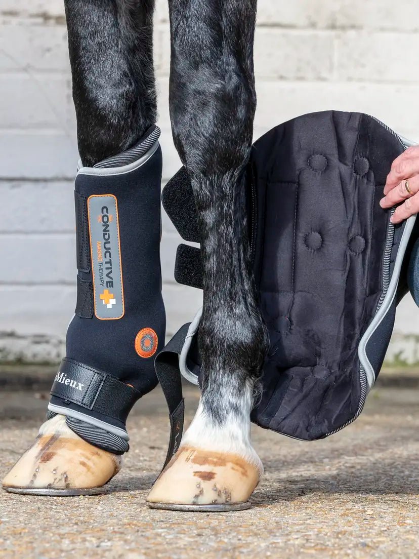 LeMieux Conductive Magno Magnetische Beenbeschermers Transport, therapeutisch en stalbeschermers - Maddelin Equestrian LeMieux