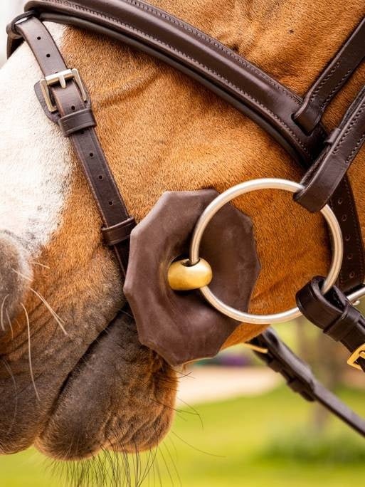 LeMieux Contoured Rubber Bitringen Toebehoren bitten - Maddelin Equestrian LeMieux