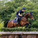 LeMieux Cotton Zadeldek Core Zadeldoeken - Maddelin Equestrian LeMieux