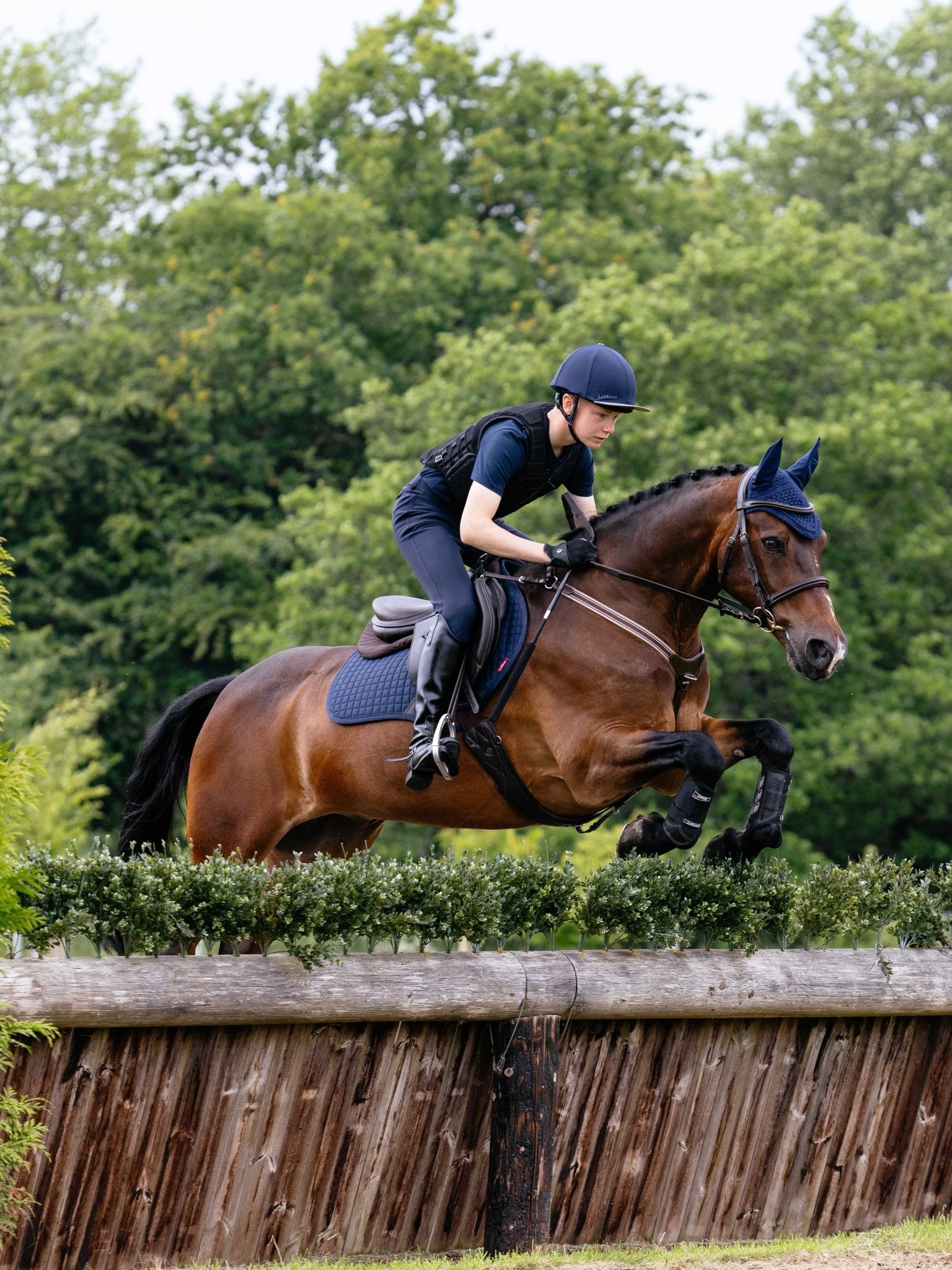 LeMieux Cotton Zadeldek Core Zadeldoeken - Maddelin Equestrian LeMieux