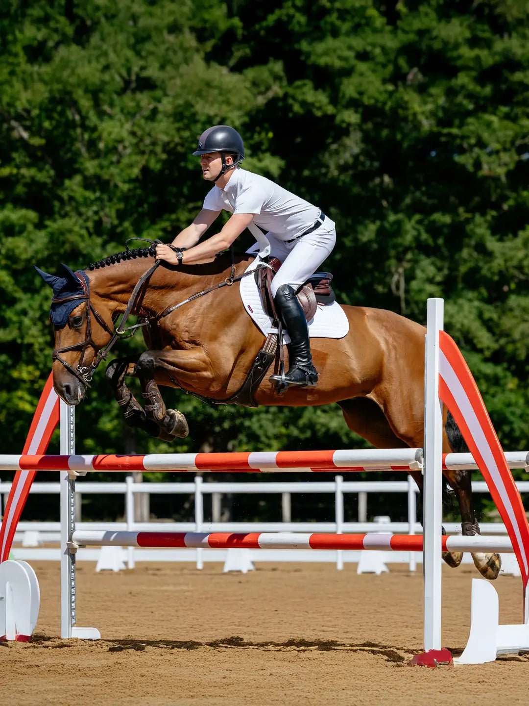 LeMieux Cotton Zadeldek Core Zadeldoeken - Maddelin Equestrian LeMieux