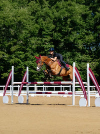 LeMieux Cotton Zadeldek Zadeldoeken - Maddelin Equestrian LeMieux
