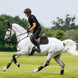 LeMieux Cotton Zadeldek Zadeldoeken - Maddelin Equestrian LeMieux