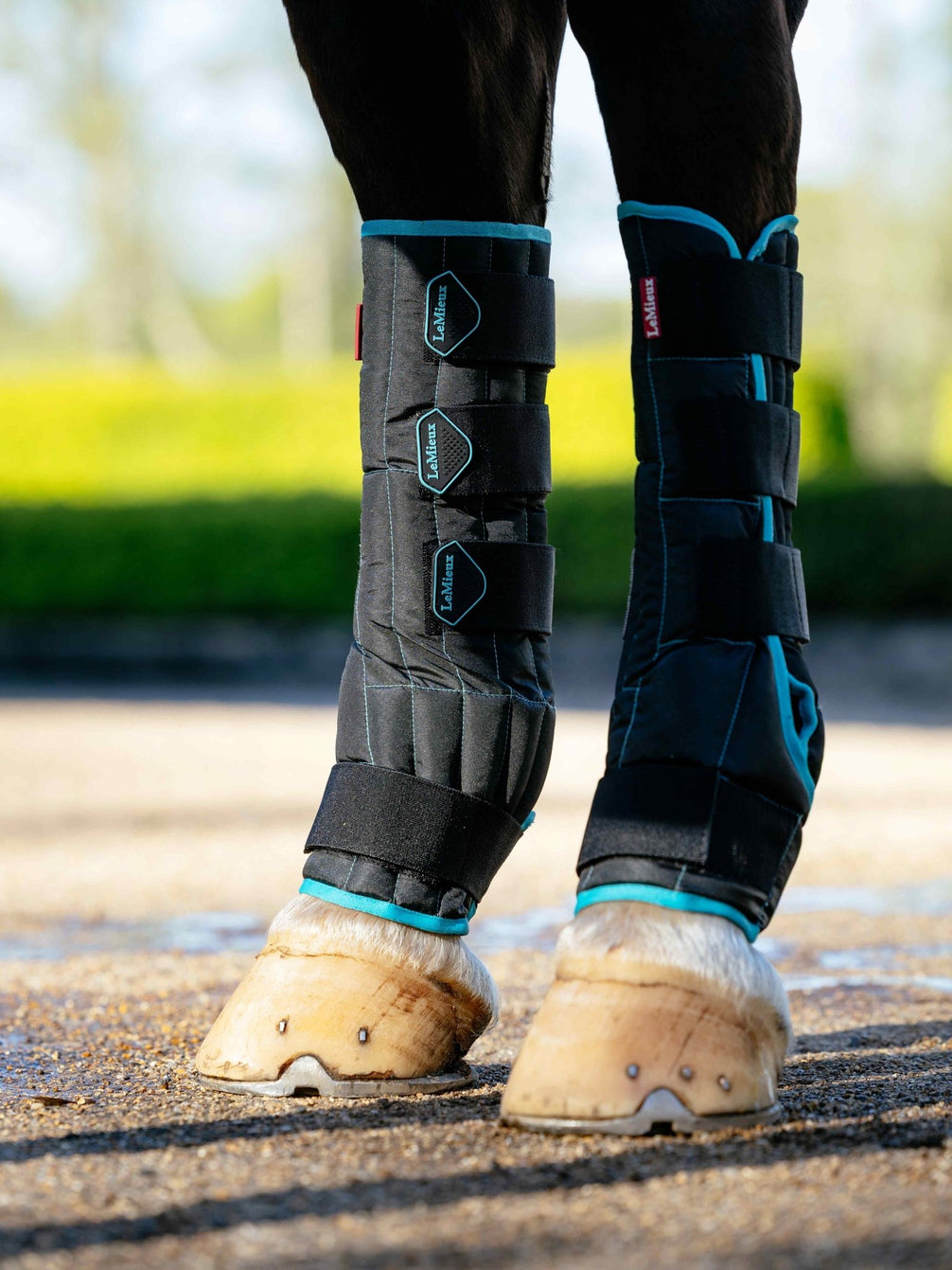 LeMieux Crystal Cool Water Boots Transport, therapeutisch en stalbeschermers - Maddelin Equestrian LeMieux