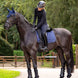 LeMieux Crystal Oornetje Oornetjes - Maddelin Equestrian LeMieux