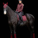 LeMieux Crystal Oornetje Oornetjes - Maddelin Equestrian LeMieux