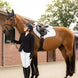 LeMieux Crystal Oornetje Oornetjes - Maddelin Equestrian LeMieux