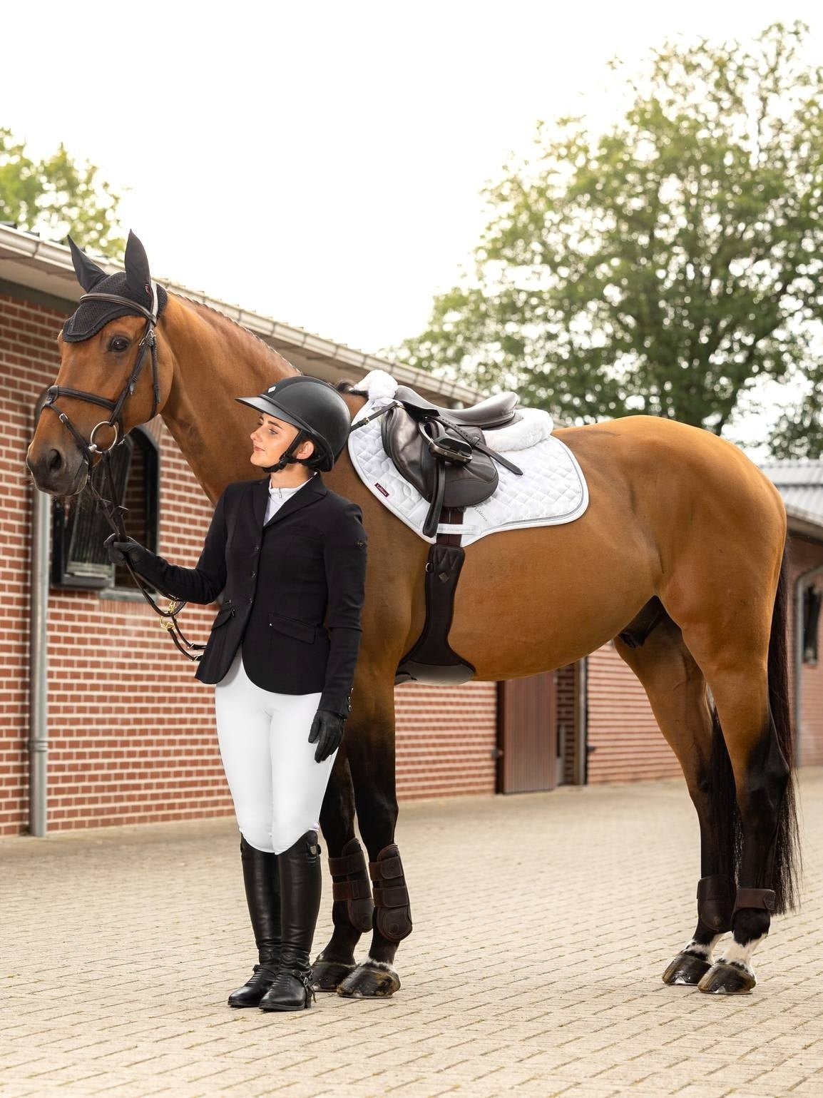 LeMieux Crystal Oornetje Oornetjes - Maddelin Equestrian LeMieux