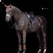 LeMieux Crystal Suede Zadeldek Core Zadeldoeken - Maddelin Equestrian LeMieux