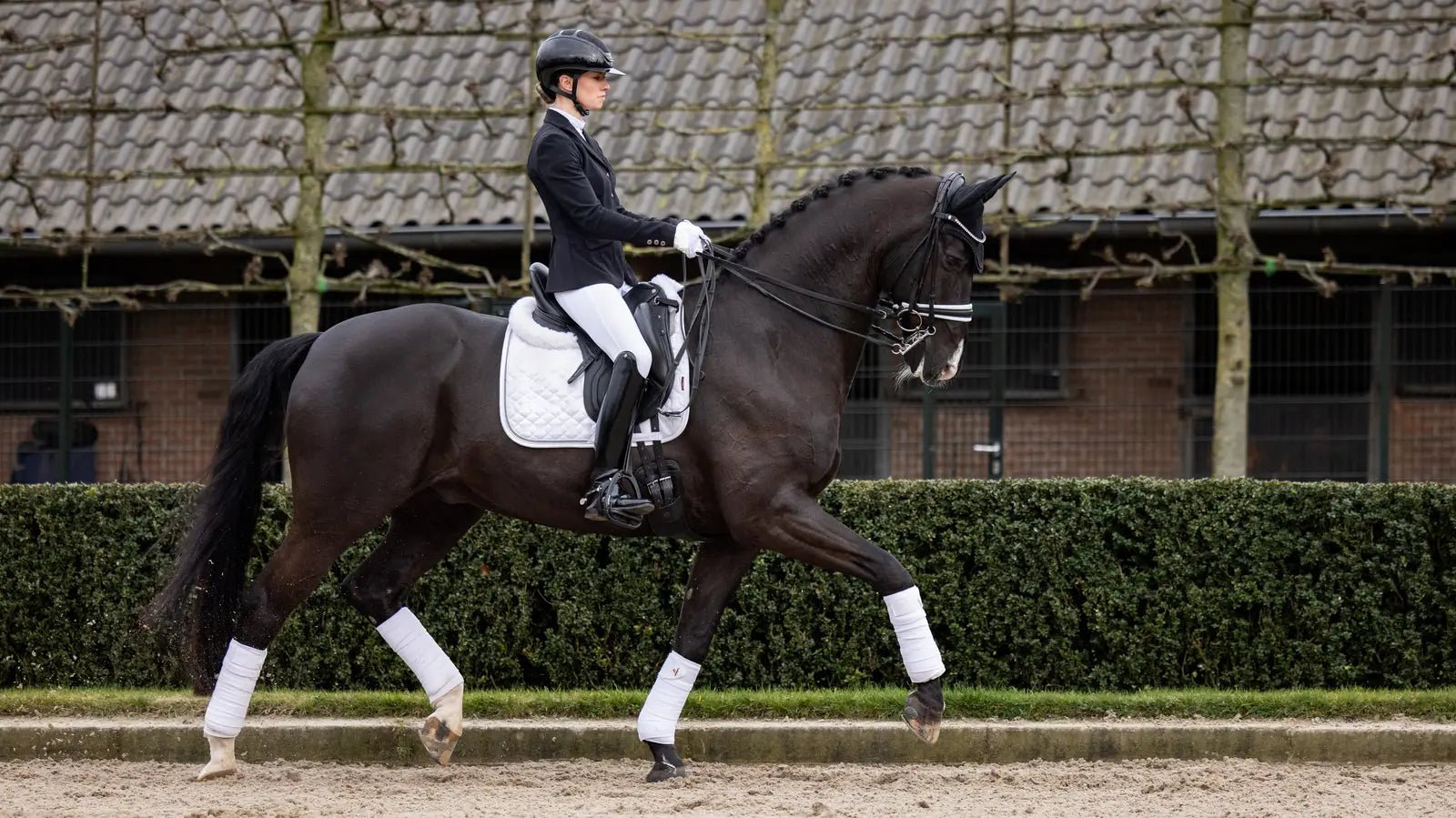 LeMieux Crystal Suede Zadeldek Core Zadeldoeken - Maddelin Equestrian LeMieux