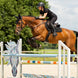 LeMieux Crystal Suede Zadeldek Core Zadeldoeken - Maddelin Equestrian LeMieux
