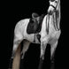 LeMieux Crystal Suede Zadeldek Core Zadeldoeken - Maddelin Equestrian LeMieux
