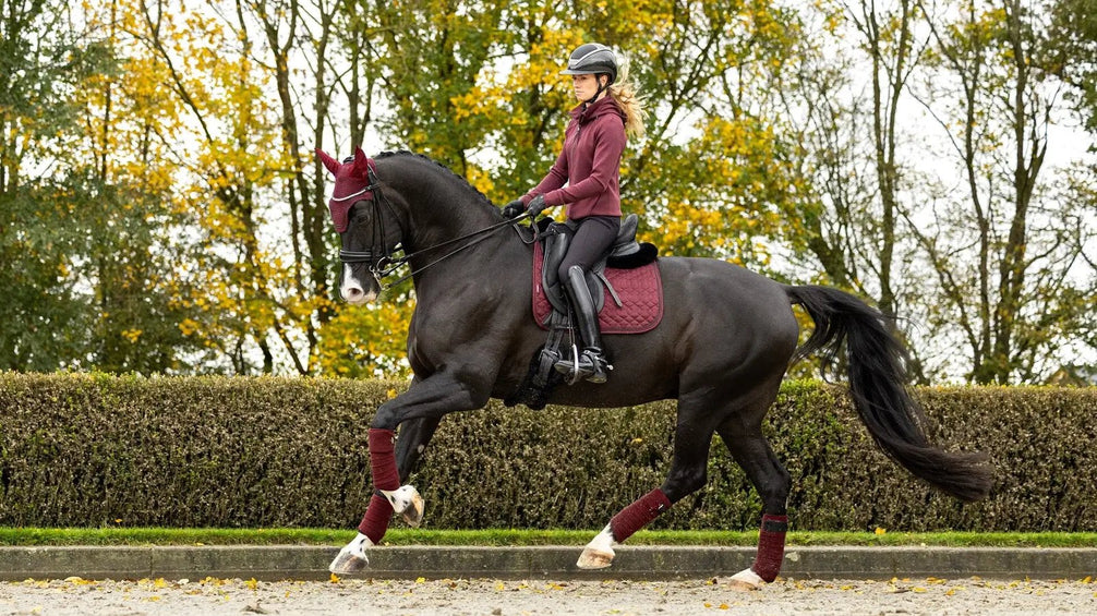 LeMieux Crystal Suede Zadeldek Core Zadeldoeken - Maddelin Equestrian LeMieux