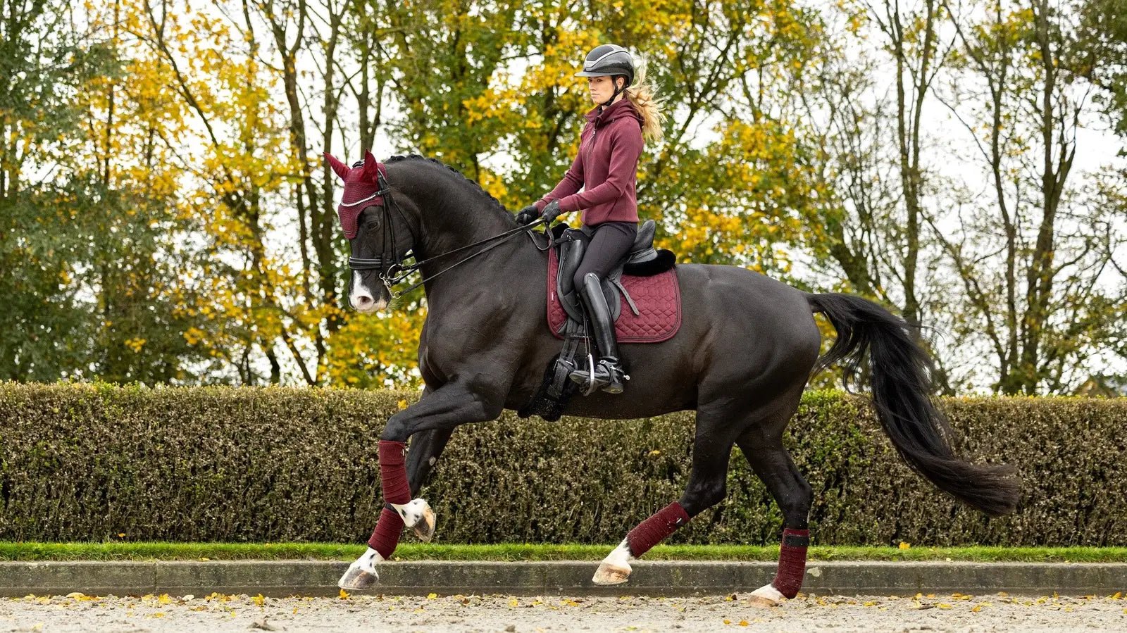 LeMieux Crystal Suede Zadeldek Core Zadeldoeken - Maddelin Equestrian LeMieux