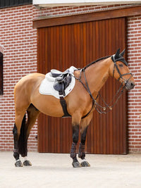 LeMieux Crystal Suede Zadeldek Core Zadeldoeken - Maddelin Equestrian LeMieux